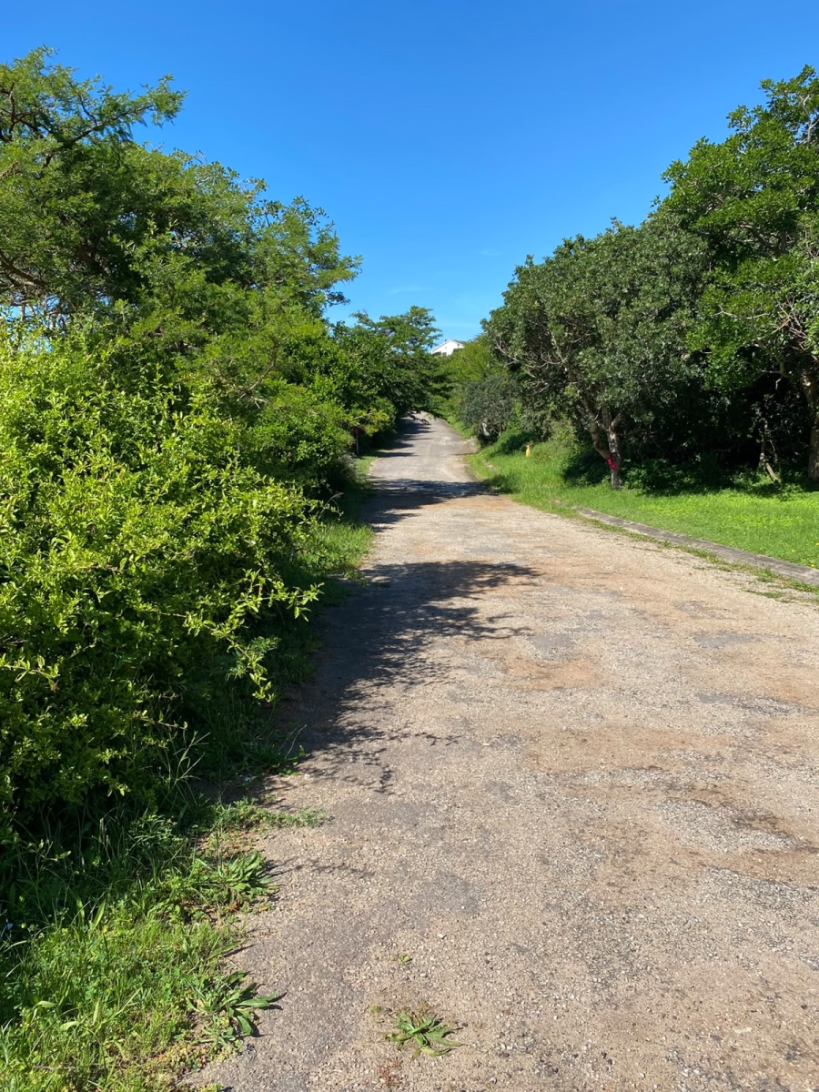 0 Bedroom Property for Sale in Seafield Eastern Cape